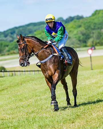 Race 6 - Open Maiden (87 of 201)