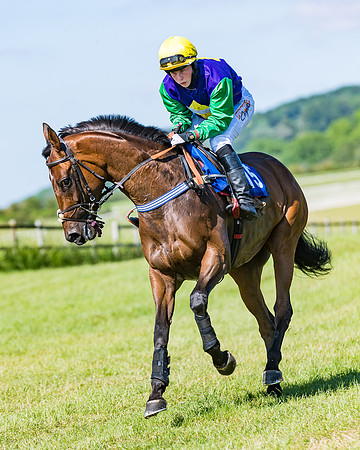 Race 6 - Open Maiden (88 of 201)