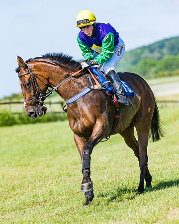 Race 6 - Open Maiden (89 of 201)