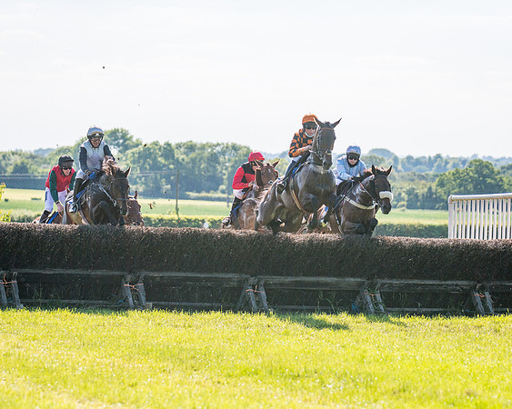 Race 6 - Open Maiden (95 of 201)