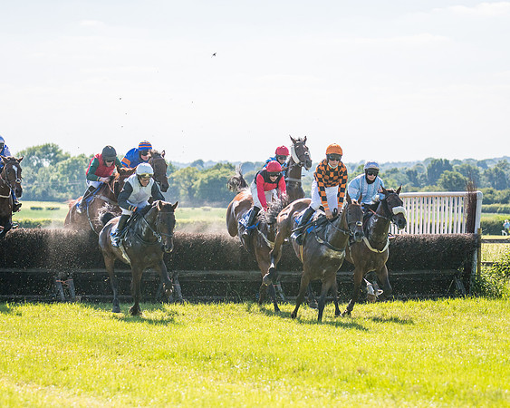 Race 6 - Open Maiden (100 of 201)