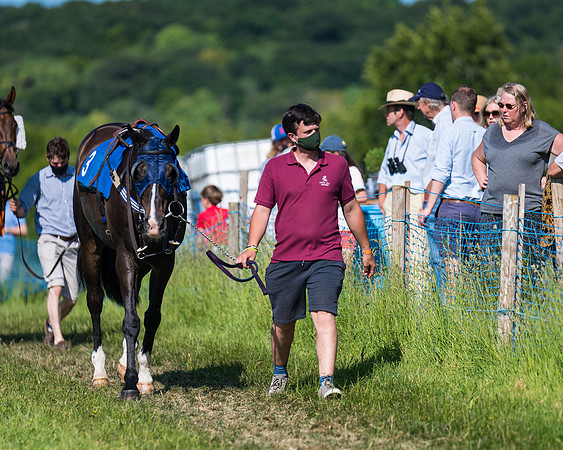 Race 7 - 2M4F Conditions  (10 of 229)