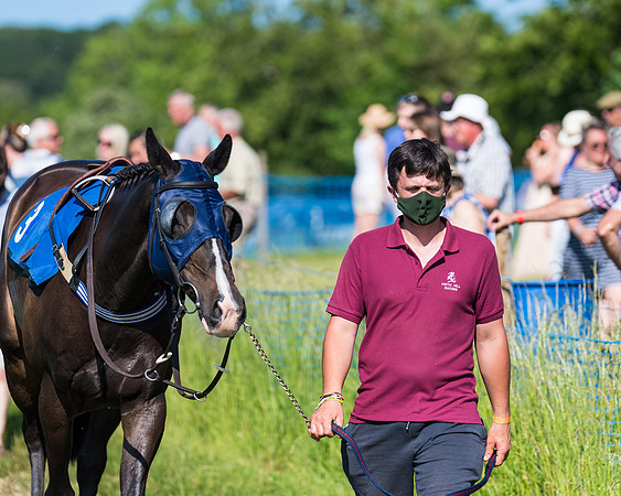 Race 7 - 2M4F Conditions  (12 of 229)