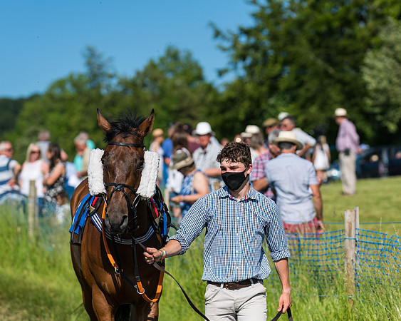Race 7 - 2M4F Conditions  (13 of 229)