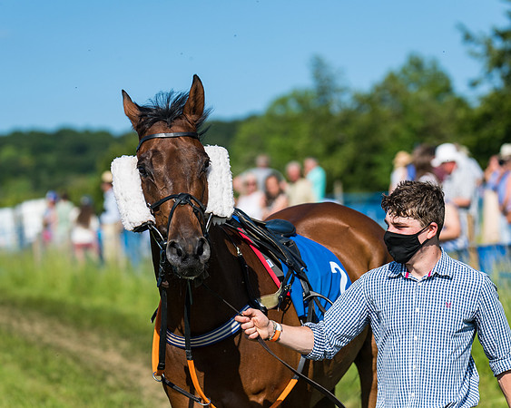 Race 7 - 2M4F Conditions  (14 of 229)