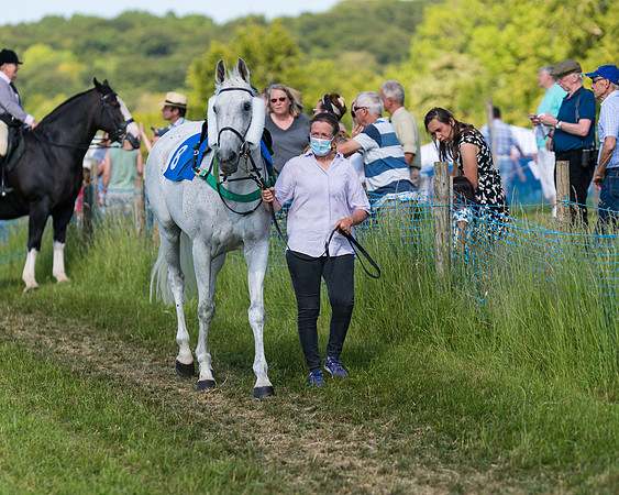 Race 7 - 2M4F Conditions  (17 of 229)