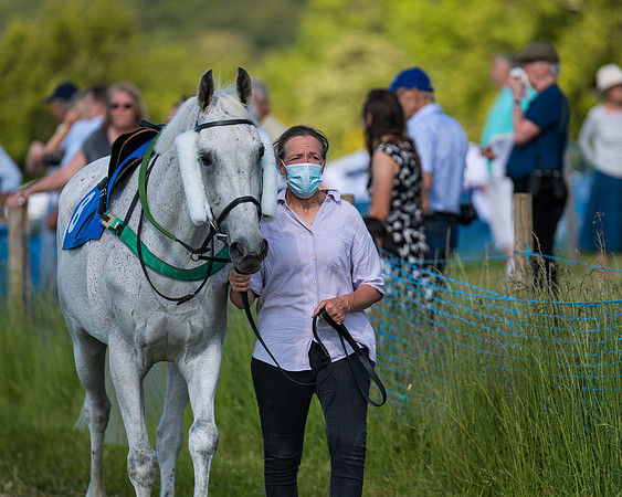 Race 7 - 2M4F Conditions  (18 of 229)