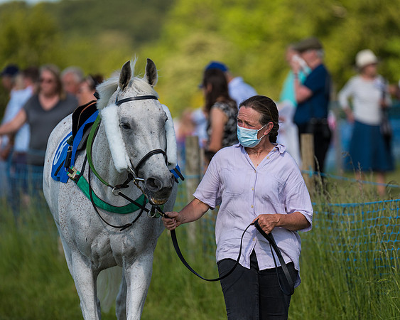 Race 7 - 2M4F Conditions  (19 of 229)