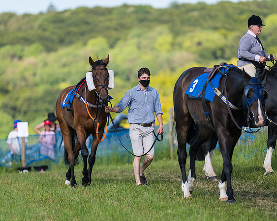 Race 7 - 2M4F Conditions  (20 of 229)