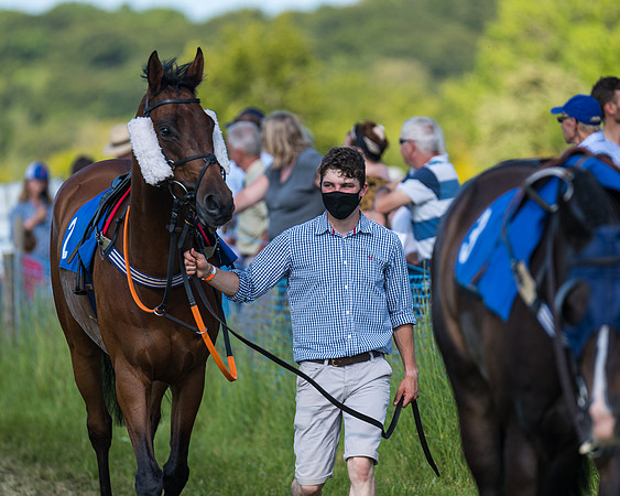 Race 7 - 2M4F Conditions  (21 of 229)
