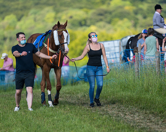 Race 7 - 2M4F Conditions  (22 of 229)