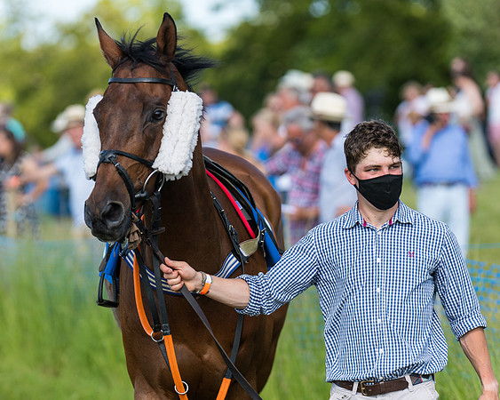 Race 7 - 2M4F Conditions  (23 of 229)