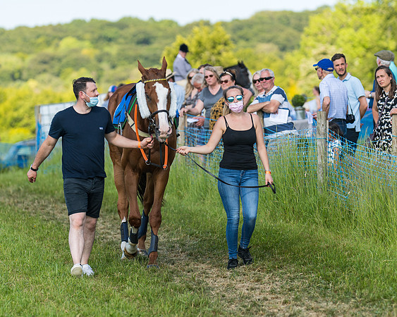Race 7 - 2M4F Conditions  (25 of 229)