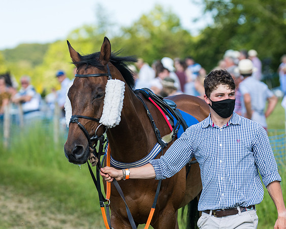 Race 7 - 2M4F Conditions  (24 of 229)