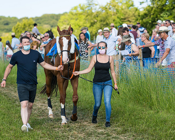 Race 7 - 2M4F Conditions  (26 of 229)
