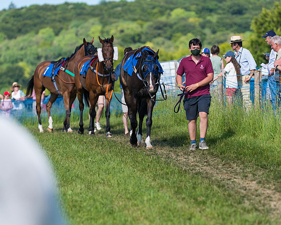 Race 7 - 2M4F Conditions  (27 of 229)