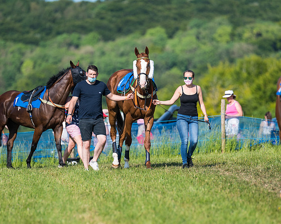 Race 7 - 2M4F Conditions  (28 of 229)