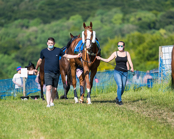 Race 7 - 2M4F Conditions  (29 of 229)