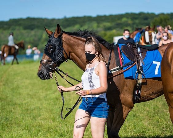 Race 7 - 2M4F Conditions  (30 of 229)
