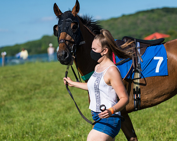 Race 7 - 2M4F Conditions  (31 of 229)