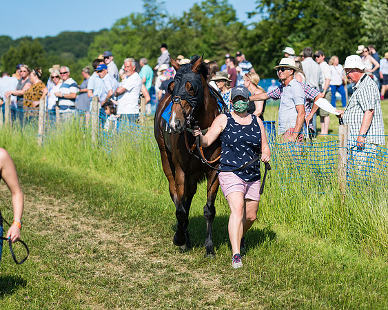 Race 7 - 2M4F Conditions  (32 of 229)