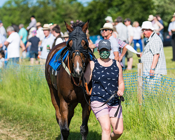 Race 7 - 2M4F Conditions  (33 of 229)