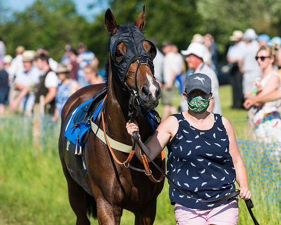 Race 7 - 2M4F Conditions  (34 of 229)