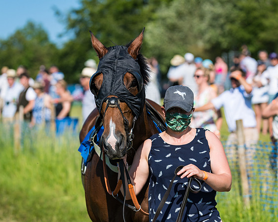 Race 7 - 2M4F Conditions  (35 of 229)