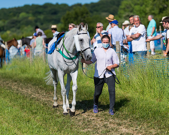 Race 7 - 2M4F Conditions  (37 of 229)