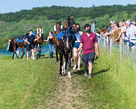 Race 7 - 2M4F Conditions  (38 of 229)