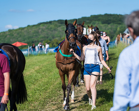 Race 7 - 2M4F Conditions  (39 of 229)