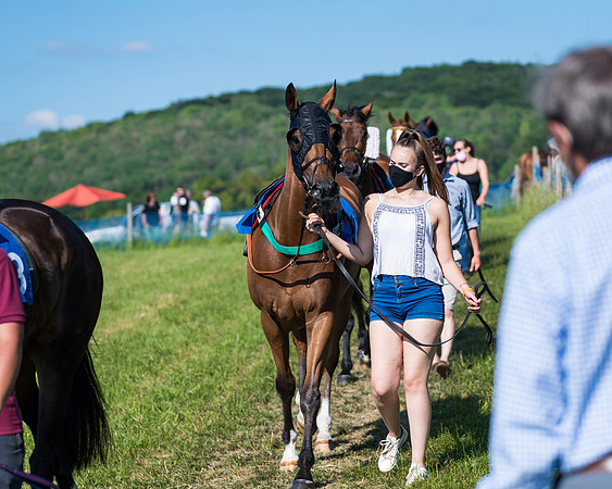 Race 7 - 2M4F Conditions  (40 of 229)