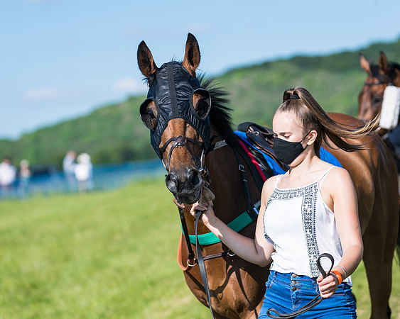 Race 7 - 2M4F Conditions  (41 of 229)