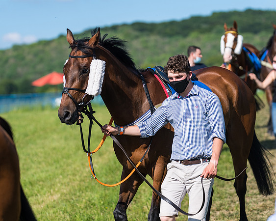 Race 7 - 2M4F Conditions  (42 of 229)