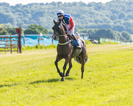 Race 7 - 2M4F Conditions  (45 of 229)