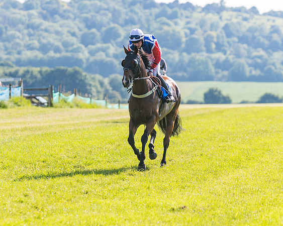 Race 7 - 2M4F Conditions  (43 of 229)