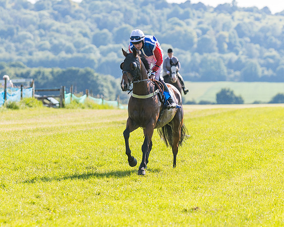 Race 7 - 2M4F Conditions  (44 of 229)