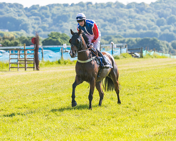 Race 7 - 2M4F Conditions  (46 of 229)