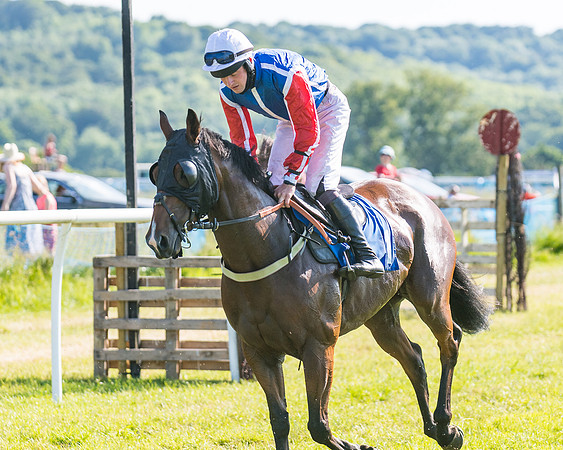 Race 7 - 2M4F Conditions  (47 of 229)
