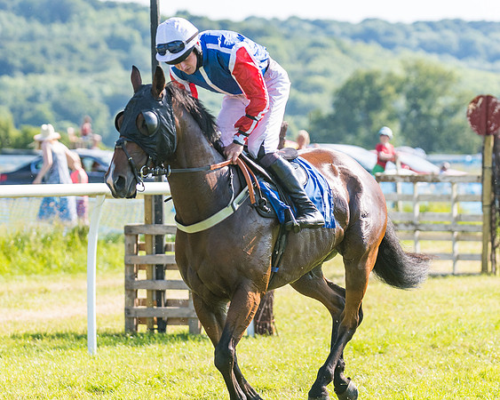 Race 7 - 2M4F Conditions  (48 of 229)