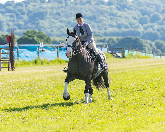 Race 7 - 2M4F Conditions  (49 of 229)