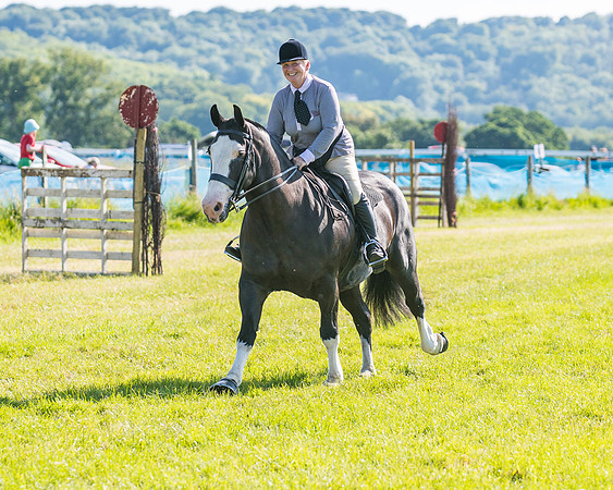 Race 7 - 2M4F Conditions  (52 of 229)