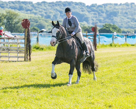 Race 7 - 2M4F Conditions  (51 of 229)