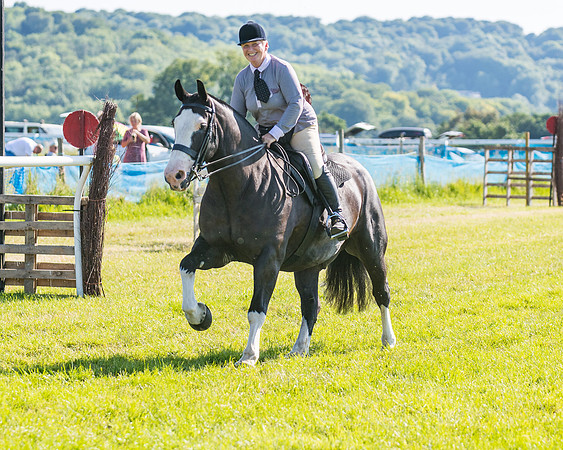 Race 7 - 2M4F Conditions  (54 of 229)