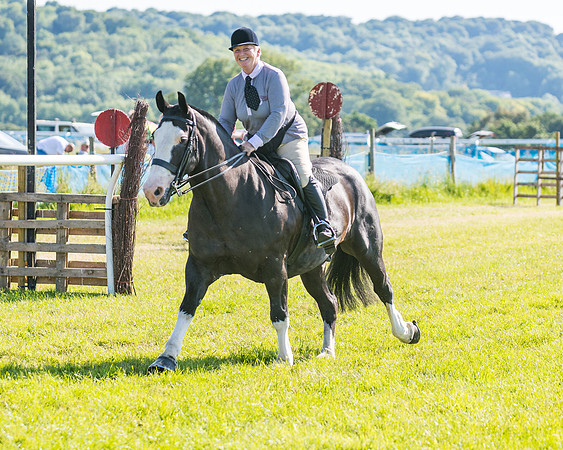 Race 7 - 2M4F Conditions  (55 of 229)