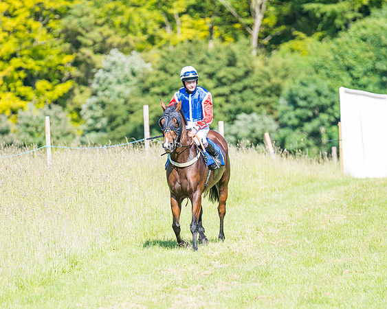 Race 7 - 2M4F Conditions  (60 of 229)
