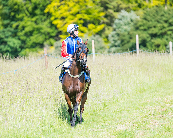 Race 7 - 2M4F Conditions  (61 of 229)