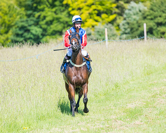 Race 7 - 2M4F Conditions  (62 of 229)