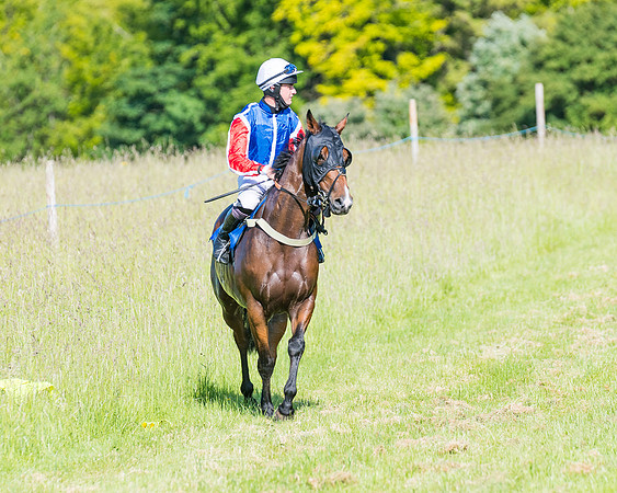Race 7 - 2M4F Conditions  (63 of 229)