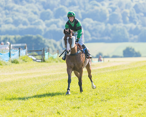 Race 7 - 2M4F Conditions  (65 of 229)